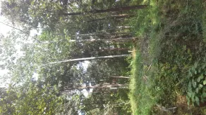 The home stay in nature's castle - Image 4