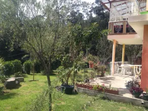 Escape the city noise in 5 minutes in a cozy green house. - Image 5