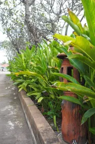 Country Inn - Image 5
