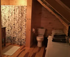 Peaceful Cabin in the Woods - Image 2