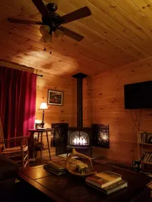 Grey's Getaway Cabin # 3 Finger Lakes område, kæledyrsvenlig, vinter wonderland ,! - Image 2