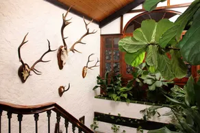 Molino Rodete recently restored with fireplace, swimming pool... - Image 2