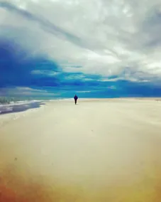Bare giv mig det rolige at høre bølgerne bryde og mågerne griner hele dagen - Image 5