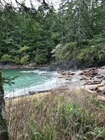 The View offers ocean views is close to town & Wild Pacific Trail - Image 4