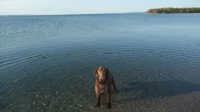 Peace and Comfort on Cape Breton's Bras d'Or Lakes: 3BR and 2Bath Dog Friendly - Image 4