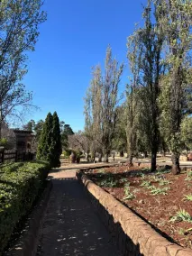 Shonalanga Valley Resort - Image 3