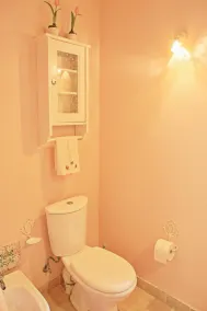 Prasini Luxury Cottage - Image 4