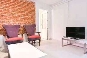 GARDEN House Downtown MADRID CENTRO-IFEMA-AEROPUERTO. 2 ROOMS 6 PAX GARDEN - Image 2