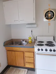 Tiny House Hideaway i Millmont, PA - Image 4