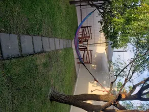 CASA EN MORELOS EN RENTA - Image 4