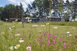 Hollicarrs - Cherry Blossom Lodge - Image 3