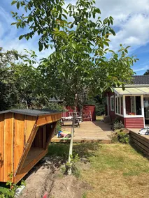 Hyggeligt sommerhus på Tuse Næs i Holbæk - Image 3