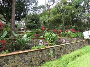 Cabanas Potosi, El Valle de Anton, Panama (Birders-Nature Lovers-Waterfalls-ETC) - Image 4