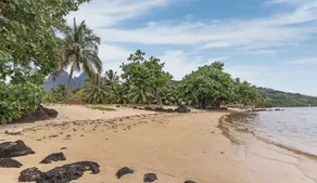 Seaside Paradise Retreat - 3BR House in Moorea - Image 5