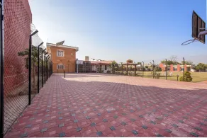 PALMFERIER JAIPUR - Image 2