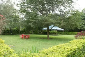Tuvela Safari Park - Image 3