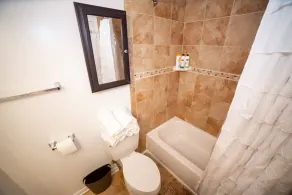 Central DC Metro Area Location, 3 bdrm 3.5 Bath home w/ KING bed, Deck, Parking - Image 3