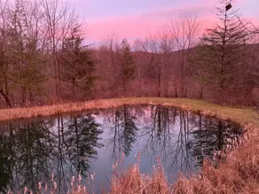 The Pond Getaway - Image 5