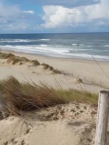 Cozy apartment near the sea, beach and dunes. Have a nice holiday! - Image 5
