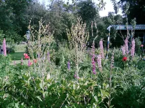 Garden paradise - Luy's guest house - Image 5