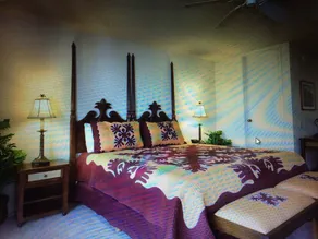 Incroyable Kauai 2 BR Condo Ocean View Location ~ Beautiful Interior ~ $ 250 / night - Image 2