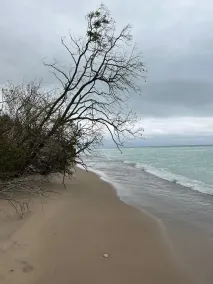 Huron Waterfront Cottage/16+ Guests/Hottub/Outdoor Shower/2 pets/private Beach. - Image 4