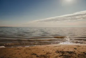 Wilding Hotels Lake Tawakoni - Image 3