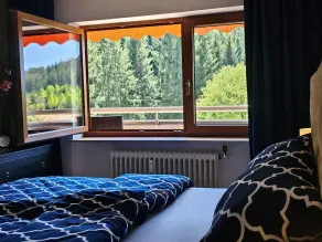 Holiday apartment “Tannenballett” with Black Forest panorama in Baiersbronn - Image 5