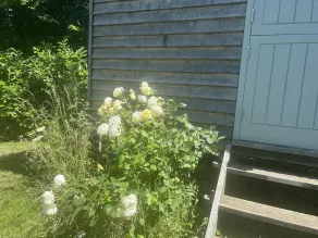Cabin Retreat in Bedford - Sleeps 2 & Free parking - Image 4