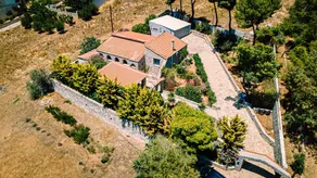 A multisensory experience awaits you in the Greek countryside - Image 3