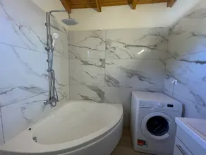 Magellanos Mint House- Kinopiastes - Image 3