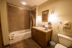 Cozy Ski Retreat in Crested Butte | Hot Tub - Image 5