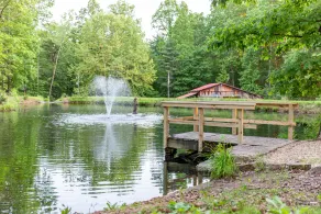 15 Bedroom, Hot tub, Put Put, Pond, Pool Table - Image 5
