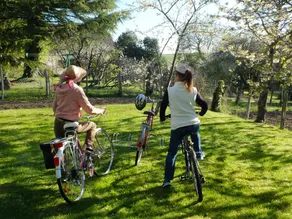 Gîte 7 pers avec jardin, vélos, proche Zoo de Beauval et Château de Valençay - Image 2