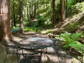 Forest Cottage in Big Sur w/Private Hiking & Hot Tub - Image 5