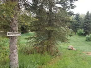 4 Private RV Campsites surrounded by \"Knotty Pines\", Minutes from ORV Trails. - Image 2