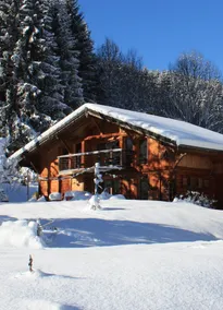 THE family chalet, ideal winter and summer! View at the top! - Image 3