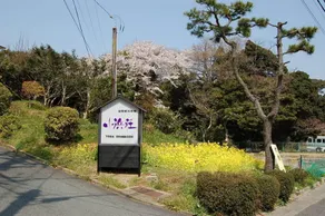 Ohamaso - Image 2