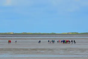 Nordsjökusten direkt på vallen + naturlig strand - Image 3