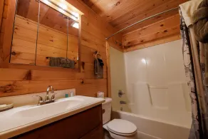 Quiet One-Level Cabin, Hot Tub, Fire Pit, WiFi, Parkway Close - Image 4