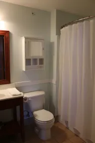 Allegheny Springs Slope Side Penthouse - Amazing Views - Image 4