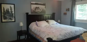 Child/Pet Friendly Cottage Loon Calls - Zoom Calls - Image 4