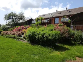Superbe appartement 2 chambres / Lovely 2 bedrooms with terrasse TOUSHITA - Image 5