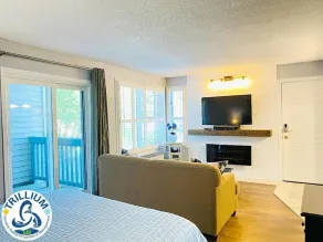 Mountainside Studio at 602 with Hot Tub - Image 4
