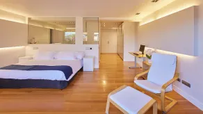 Unique and spacious property with terrace - Image 4