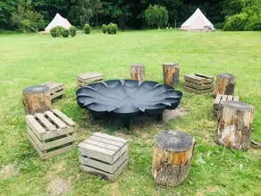 Apothecary yurt, a herbal retreat in field and woodland surroundings - Image 5