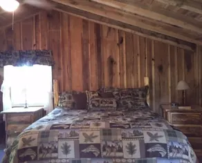Waterloo Cabin on Wide Water, Boat Dock, Beach, & Awesome Views! - Image 4