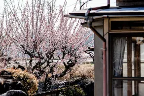 A nostalgic space Relax and unwind in a fully equ / Mihara Hiroshima - Image 4