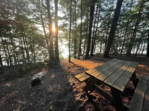 Hammock Haven Island Dome - Image 4