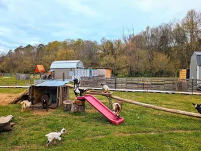 Meadow View Romantic Nature Stay w Barn, Outdoor Tub and Sauna - Image 5